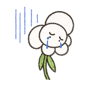 019