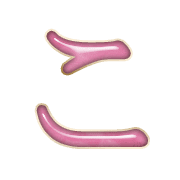 010