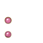 244