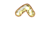 231