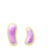048