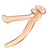 153