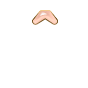 231