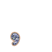 245