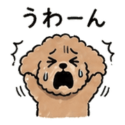 013