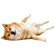 004