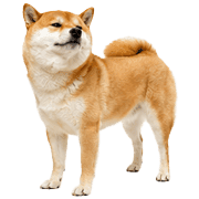 008