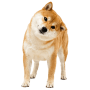 011