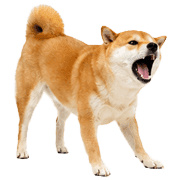 013