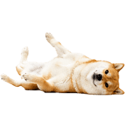 016