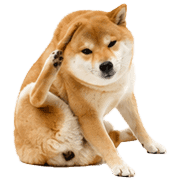 017