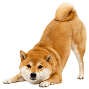 018