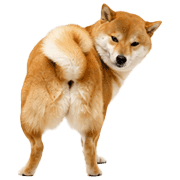 020