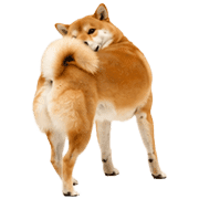 022