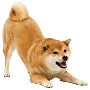 030