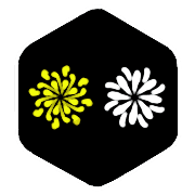008