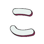 010
