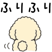029