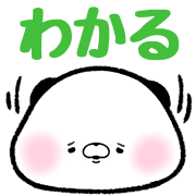 029