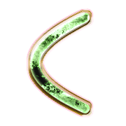 008