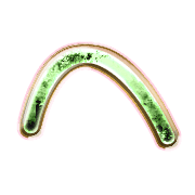 029