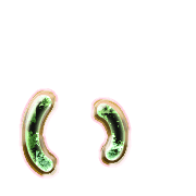 048