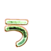 049