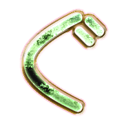 058