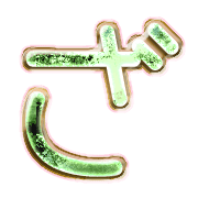 061