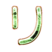 120