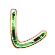 122