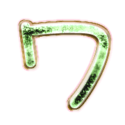 124