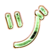 148