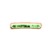 161