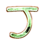 171