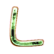 173