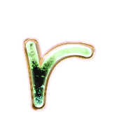 205