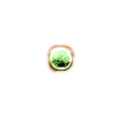 253