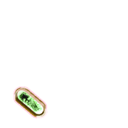256