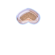 231