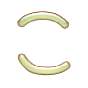 010