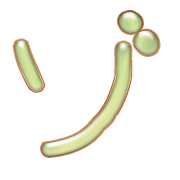 145