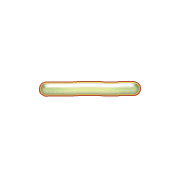 251