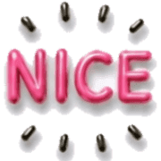 010