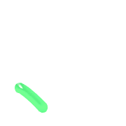 256