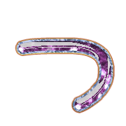 018