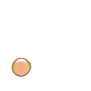 246