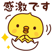 003