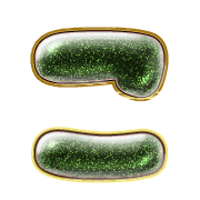 010