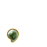 245